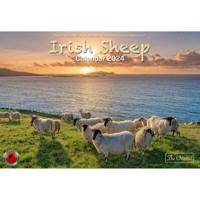 A4 Irish Sheep 2024 Calendar by Liam Blake